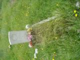 image of grave number 613564